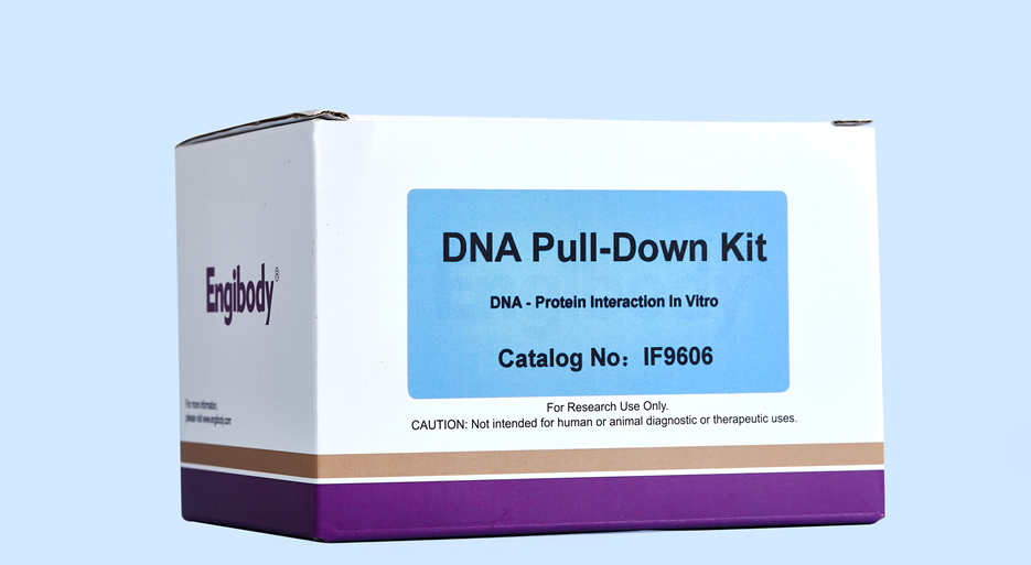 DNA Pull-down Kit