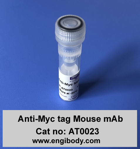 Anti-Myc tag Mouse mAb