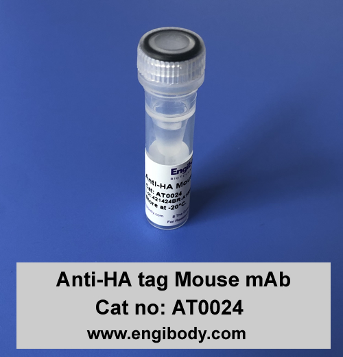 Anti-HA tag Mouse mAb