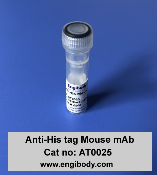 Anti-His tag Mouse mAb