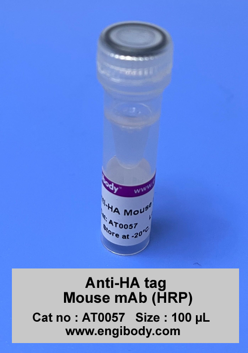 Anti-HA tag Mouse mAb (HRP)