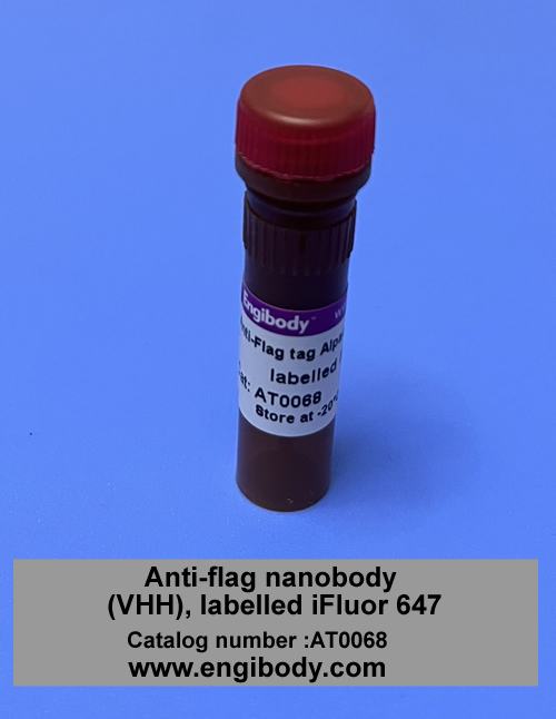 FLAG-Alpaca-iFluor647 Anti-FLAG tag Alpaca Nanobody (VHH), labelled iFluor™ 647
