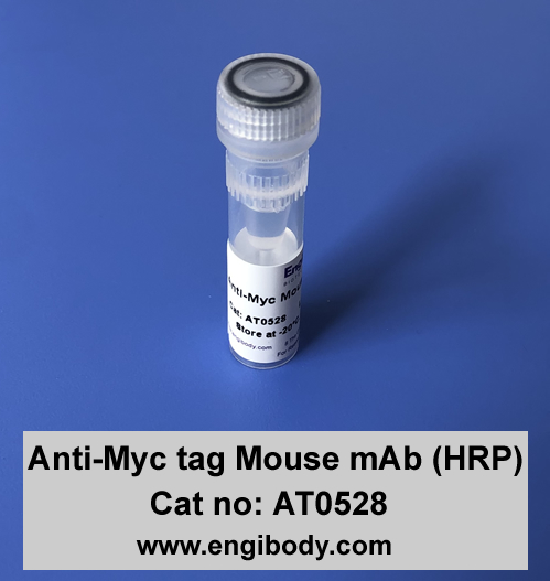 Anti-Myc tag Mouse mAb (HRP)