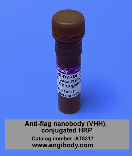 FLAG-Alpaca-HRP Anti-DYKDDDDK (Flag) tag Alpaca Nanobody(VHH) Conjugated HRP
