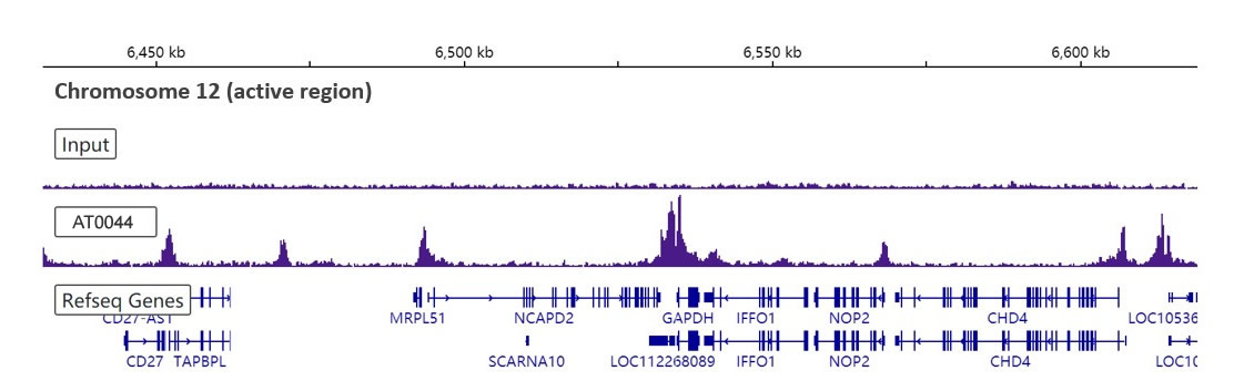 ChIP-Sequence