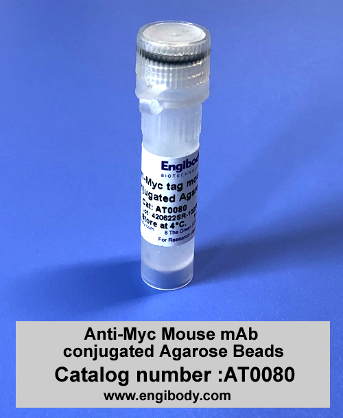 Anti-Myc tag Mouse mAb conjugated Agarose Beads