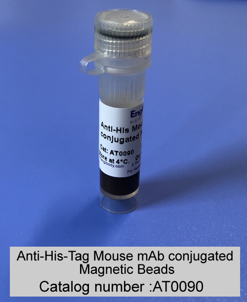 Anti-His tag mouse mAb conjugated Magnetic Beads