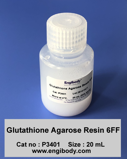 Glutathione Agarose Resin 6FF