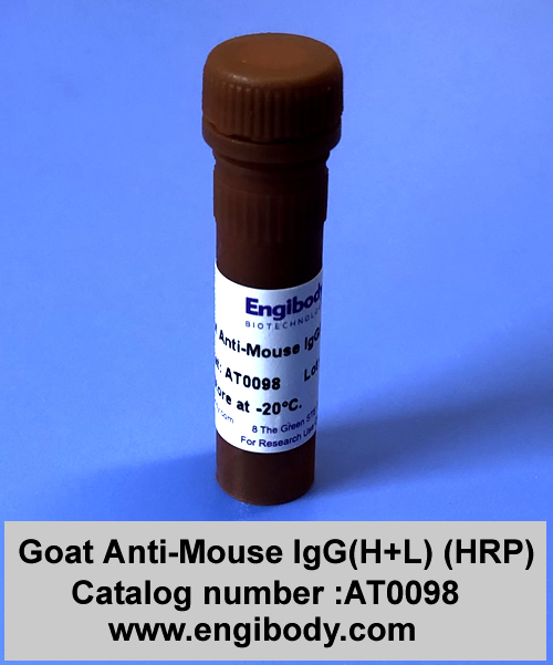 Goat Anti-Mouse IgG(H+L) (HRP)