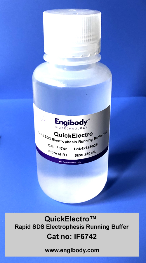 QuickElectro™ Rapid SDS Electrophesis Running Buffer (10X)