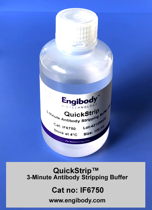 QuickStrip™ 3Minute Antibody Stripping Buffer