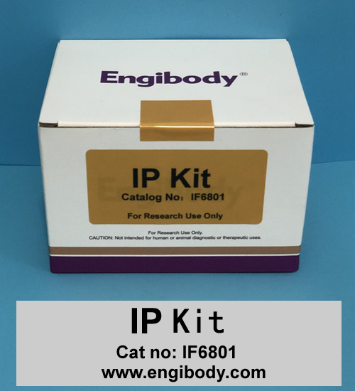 IP Kit