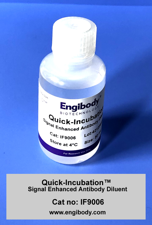 QuickIncubation™ Signal Enhanced Antibody Diluent